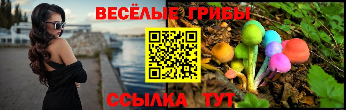 Вичуга  Псилоцибиновые грибы прущие грибы  Вход с VPN 